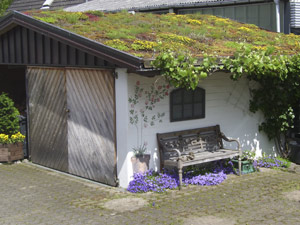 Dachbegrünung