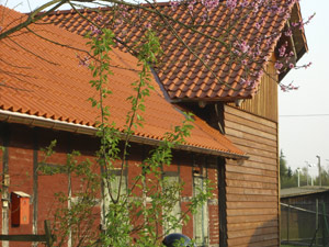 komplette Dachsanierung